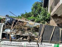 Best Demolition Debris Removal  in Badger, AK